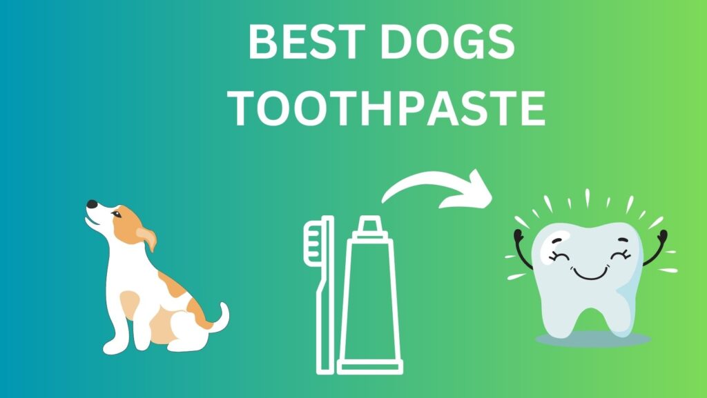 best toothpaste for dogs