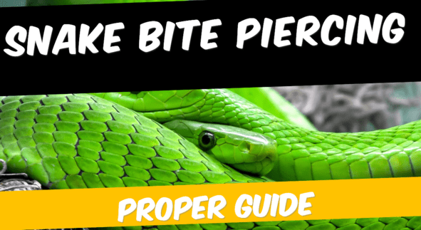Snake Bite Piercing